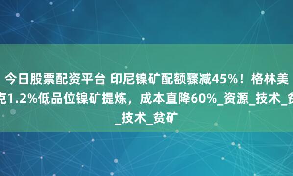 今日股票配资平台 印尼镍矿配额骤减45%！格林美攻克1.2%低品位镍矿提炼，成本直降60%_资源_技术_贫矿