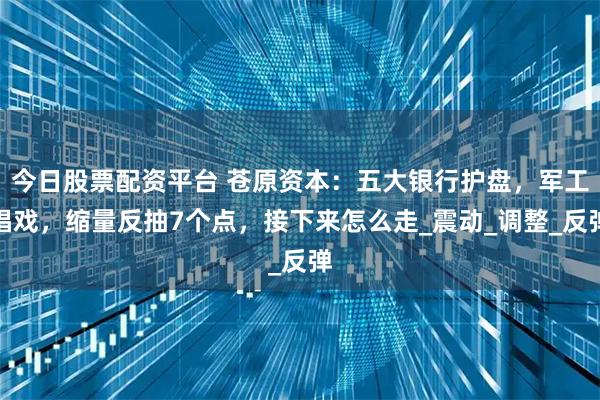 今日股票配资平台 苍原资本：五大银行护盘，军工唱戏，缩量反抽7个点，接下来怎么走_震动_调整_反弹