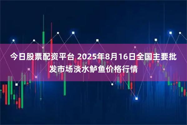 今日股票配资平台 2025年8月16日全国主要批发市场淡水鲈鱼价格行情